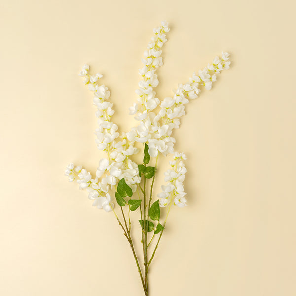 White Wisteria Cascade