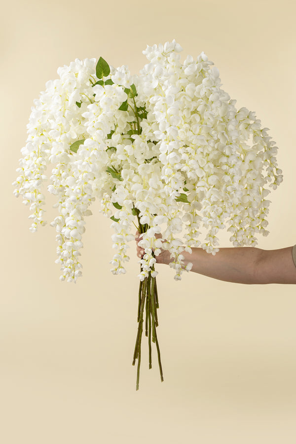 White Wisteria Cascade