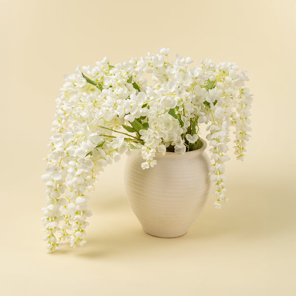 White Wisteria Cascade