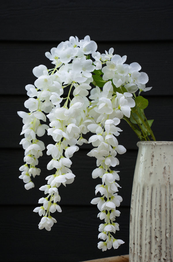 White Wisteria Cascade