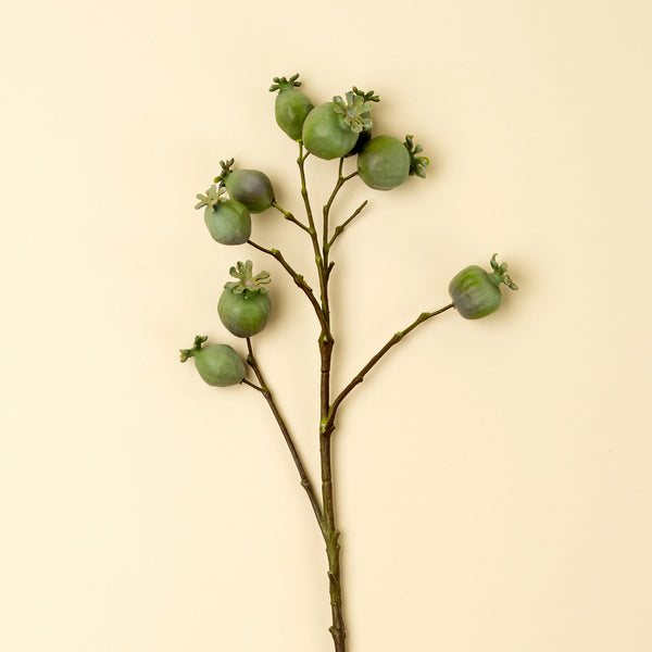 Poppy Pod Branch