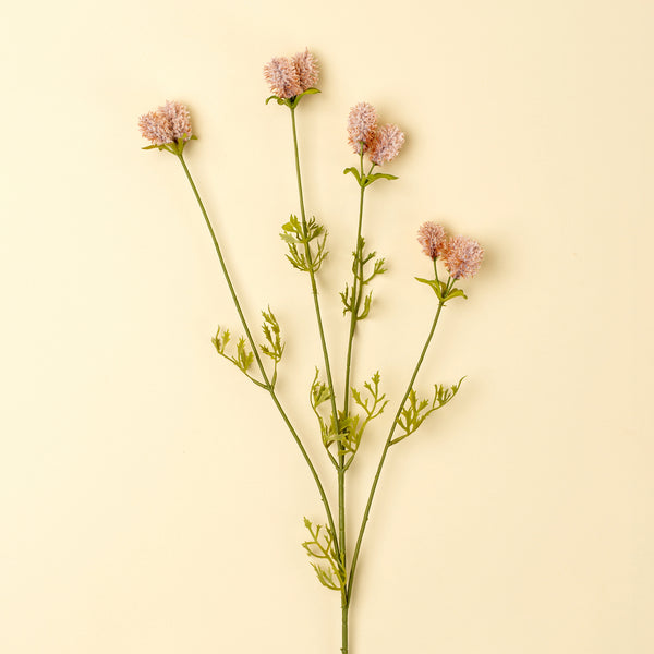 Dandelion Pom Pom Spray, Pink