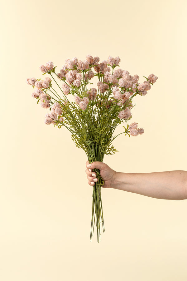 Dandelion Pom Pom Spray, Pink