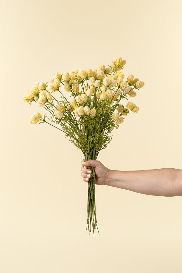 Dandelion Pom Pom Spray, Cream