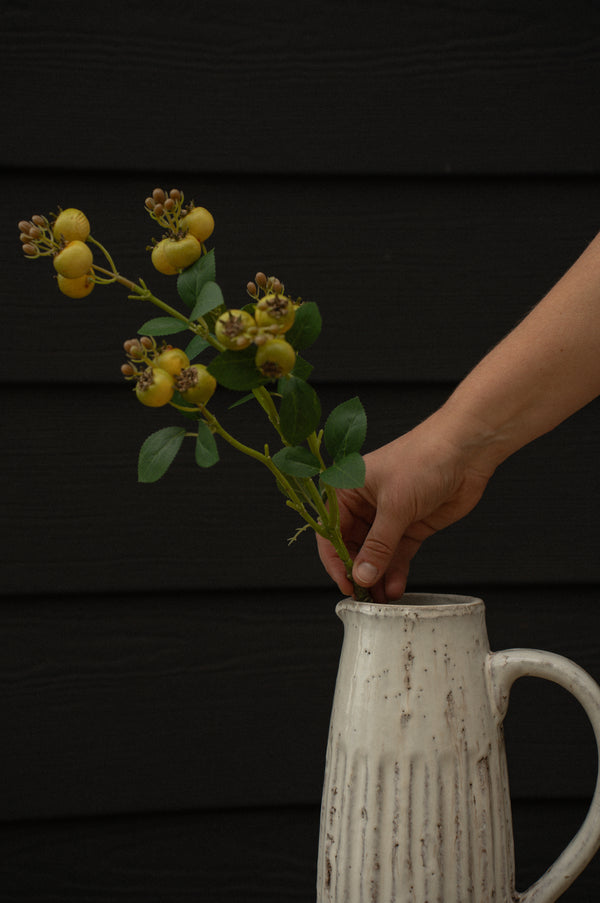 Rosehip Branch