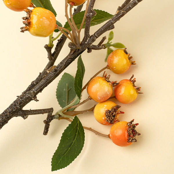 Rosehip Branch, Orange