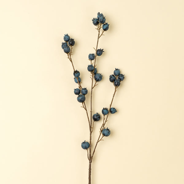 Blueberry Branch