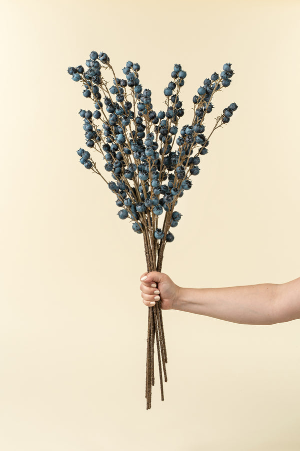Blueberry Branch