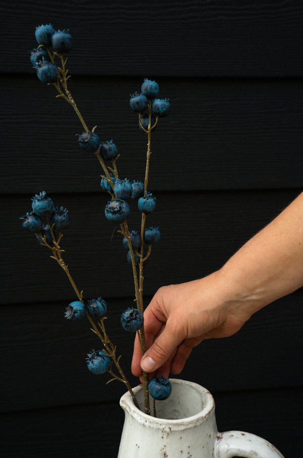 Blueberry Branch