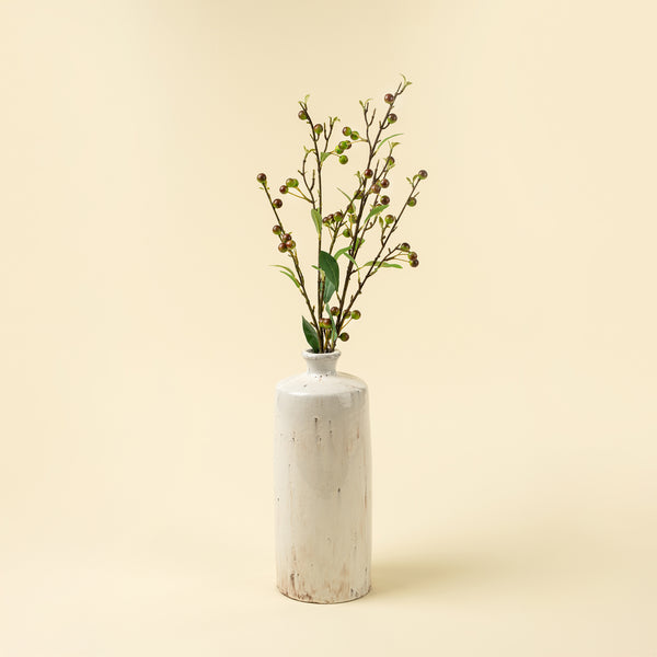 Hypericum Berry Spray