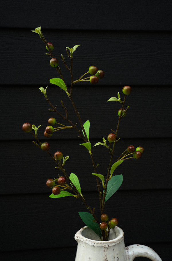 Hypericum Berry Spray