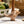 Wren Candle Holder, Dune