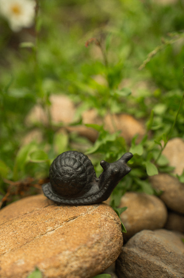 Cast Iron Snail