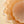 Scallop Resin Bowl M