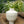 Lena Paper Mache Vase