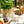 Glass Bunny L, White