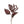 Dripping Seed Stem, Dark Purple
