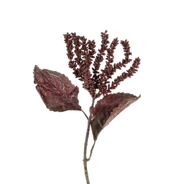 Dripping Seed Stem, Dark Purple