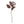 Dripping Seed Stem, Dark Purple