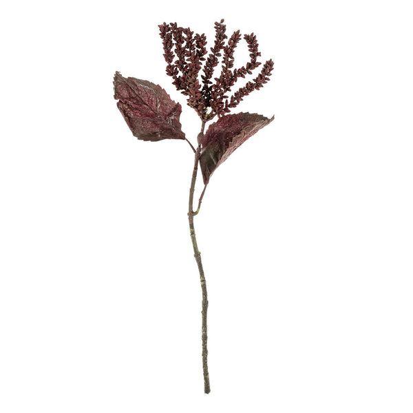 Dripping Seed Stem, Dark Purple