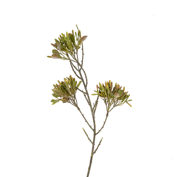 Wild Flower Spray, Green