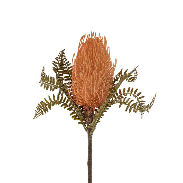 Banksia Floral Stem, Pale Orange