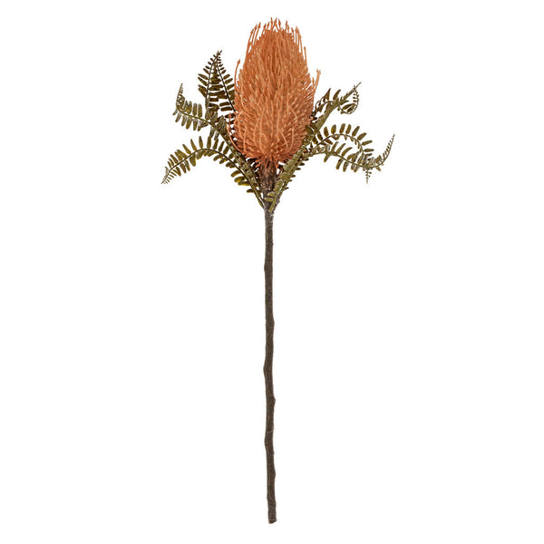 Banksia Floral Stem, Pale Orange
