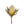 Banksia Floral Stem, Ivory