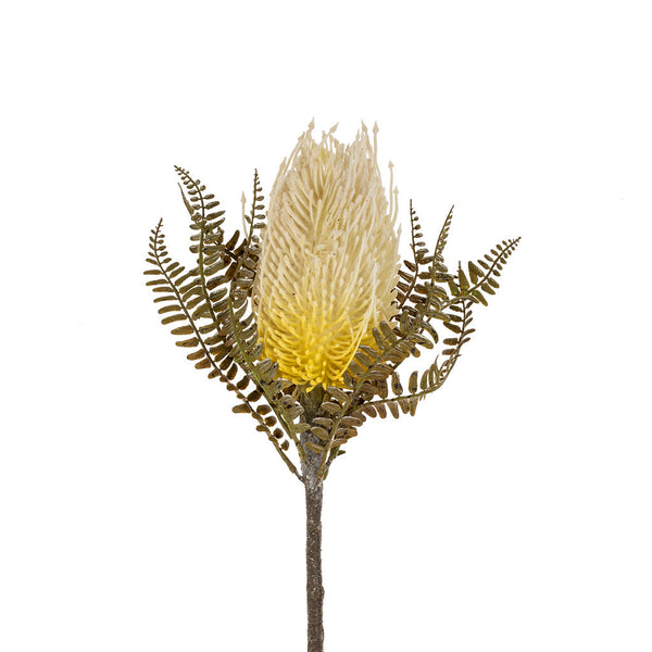 Banksia Floral Stem, Ivory