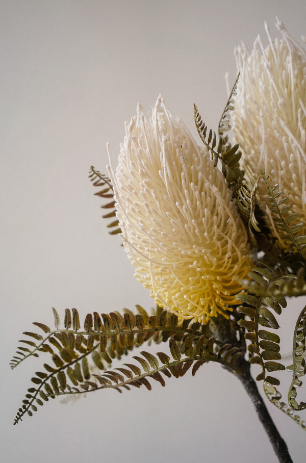 Banksia Floral Stem, Ivory