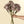 Faded Hydrangea Stem L, Purple