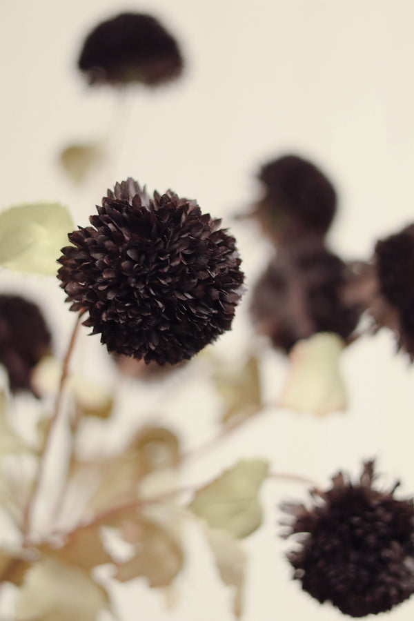 Pom Pom Floral Spray, Midnight