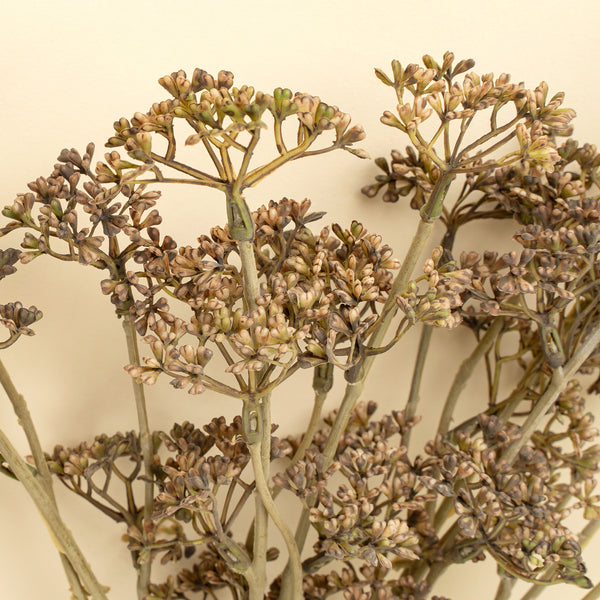 Meadow Grass Bouquet, Brown