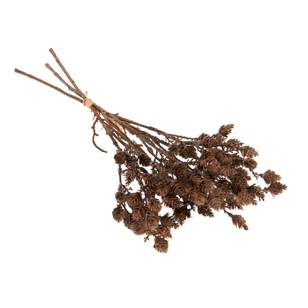 Wild Grass Bundle, Brown