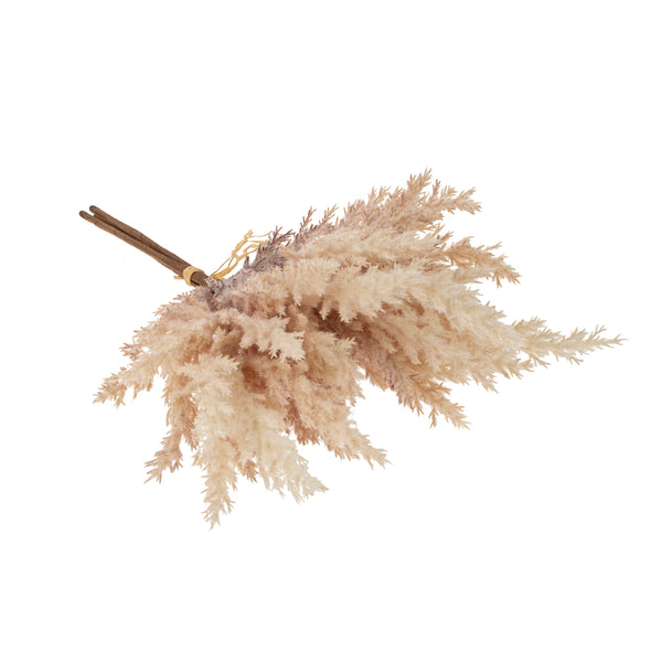 Pampas Grass Bundle, Blush