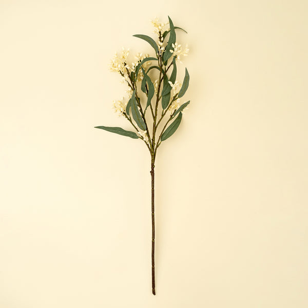 Flowering Eucalyptus Branch