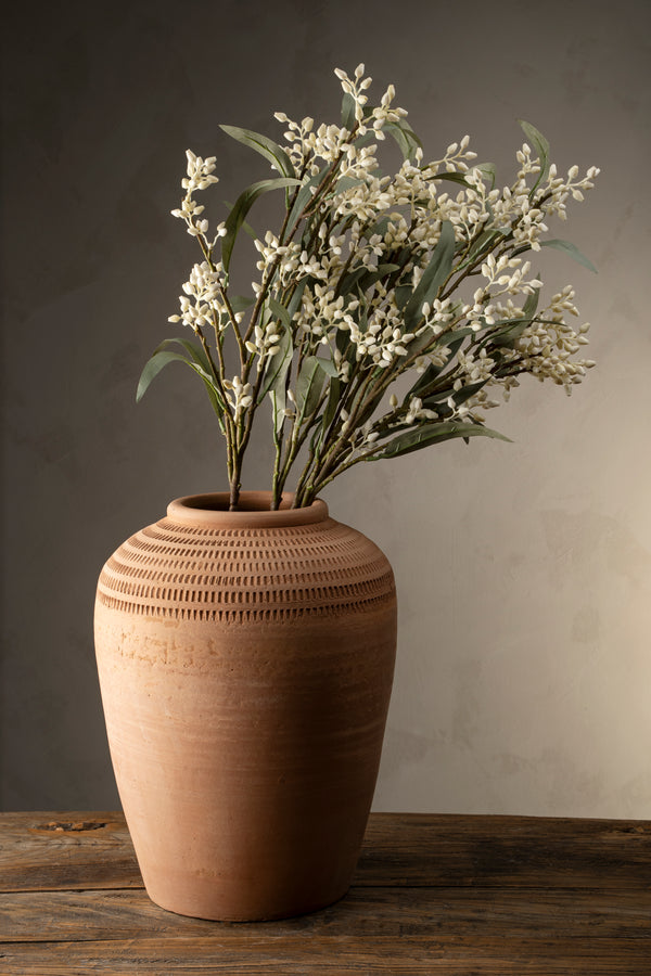 Flowering Eucalyptus Branch