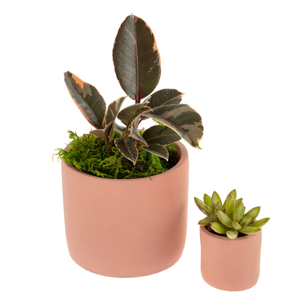 Tuscany Pot L, Brick