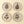 Pressed Botanical Dishes S/4