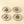 Pressed Botanical Dishes S/4