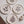 Pressed Botanical Dishes S/4