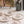 Pressed Botanical Dishes S/4