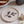 Pressed Botanical Dishes S/4