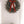 Boxwood Wreath S