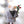 Merrymaker Miles Mouse Holiday Ornament