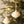 Natura Weave Holiday Ornaments S/2
