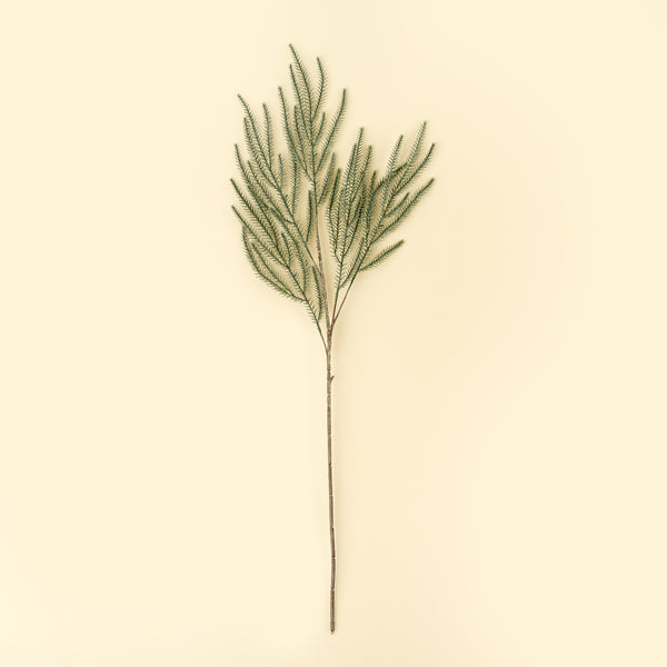 Norway Spruce Sprig