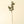 Alpine Larch Sprig