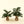 Alpine Sprig Tabletop Tree L