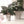 Alpine Sprig Tabletop Tree S